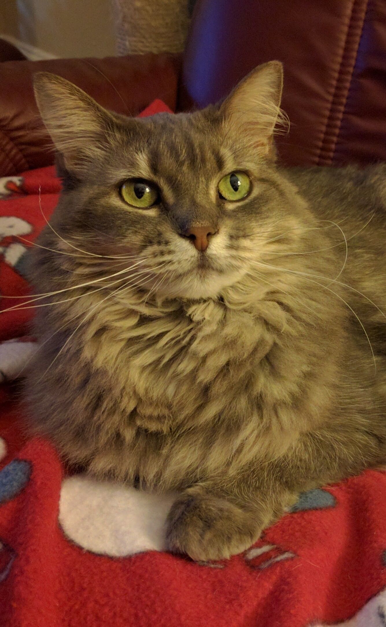 Leena